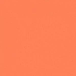 Paint and Paper Library Jaipur Pink Paint